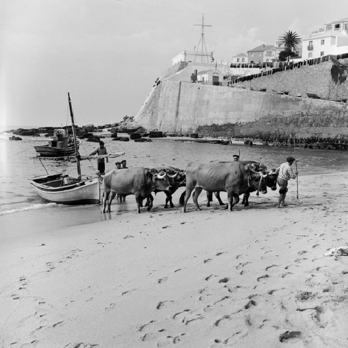 20 чёрно-белых ретро фотографий из жизни португальских рыбаков