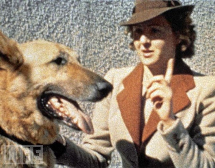 Ева Браун и овчарка Гитлера. 1943 год.